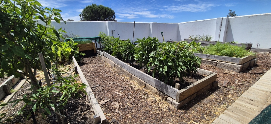 5 Bedroom Property for Sale in Cape Farms Western Cape